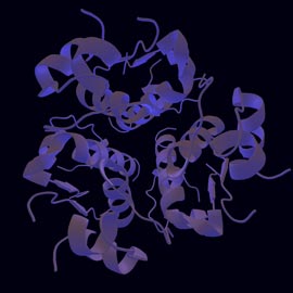 3D model of an insulin molecule.